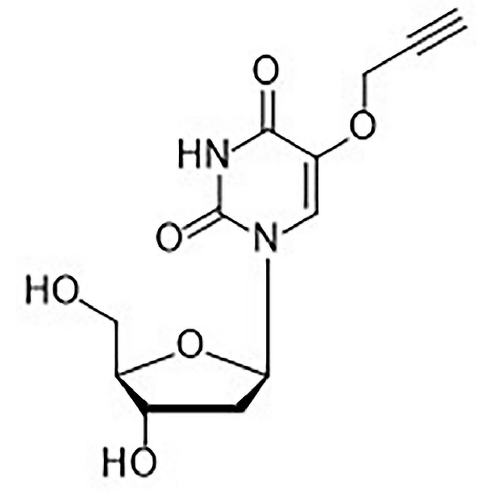 5-(Proparglyloxy)-2'-deoxyuridine, 1 g, Glass Screw-Top